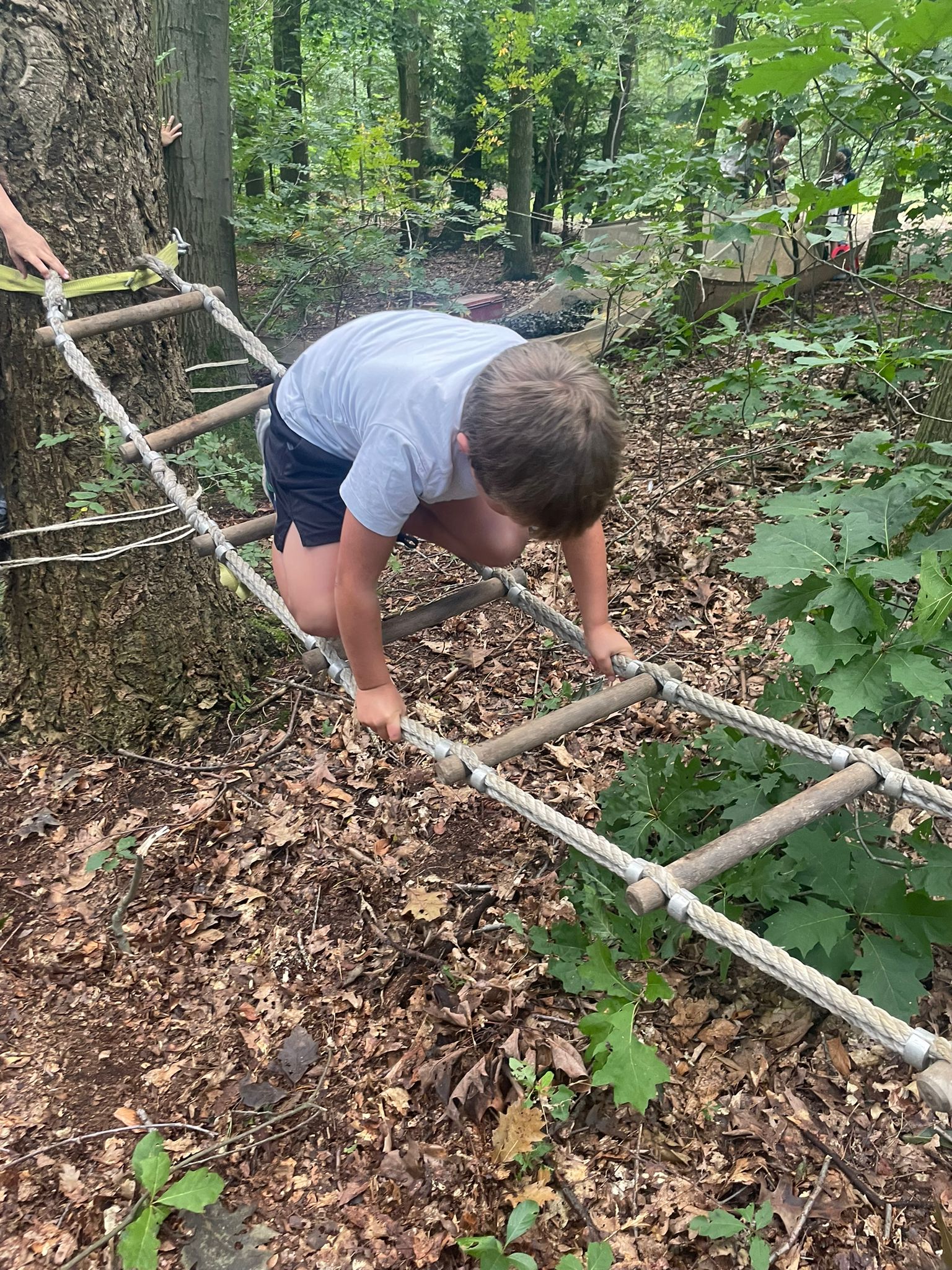 Sint-Martinus den XIIde - Opening 2024